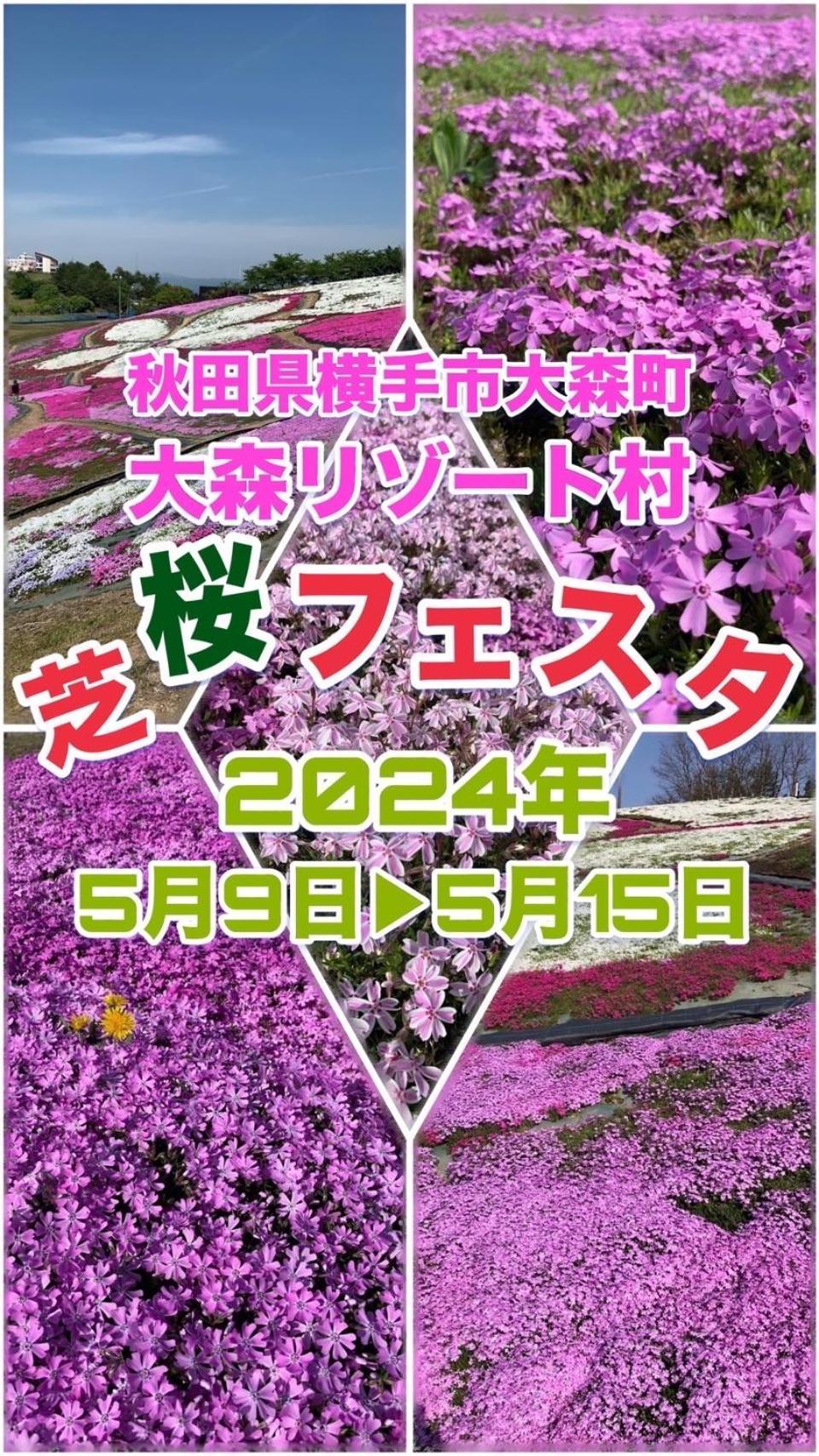 Daisen  Hotel Dolphia-Adult Only מראה חיצוני תמונה